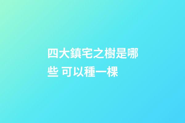 四大鎮宅之樹是哪些 可以種一棵